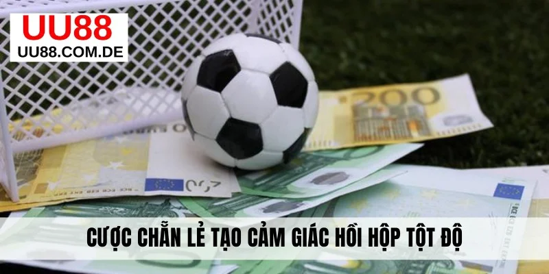 Cược chẵn lẻ tạo cảm giác hồi hộp tột độ